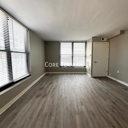 1 bedroom apartment for rent in Downtown Kansas City - KCMO, Kansas City