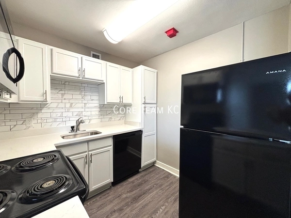 1 bedroom apartment for rent in Downtown Kansas City - KCMO, Kansas City