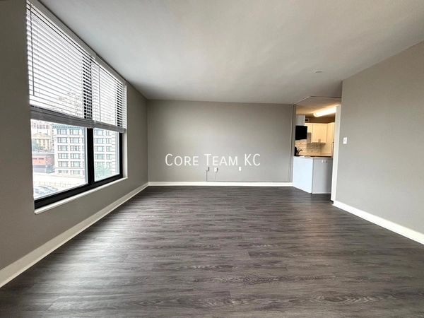 1 bedroom apartment for rent in Downtown Kansas City - KCMO, Kansas City