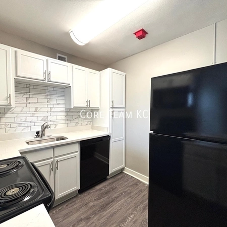 1 bedroom apartment for rent in Downtown Kansas City - KCMO, Kansas City