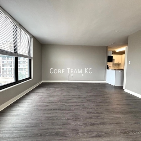 1 bedroom apartment for rent in Downtown Kansas City - KCMO, Kansas City
