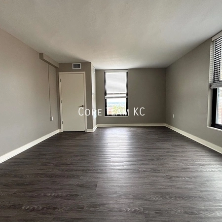 1 bedroom apartment for rent in Downtown Kansas City - KCMO, Kansas City