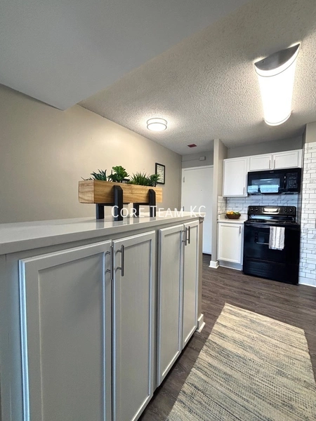 1 bedroom apartment for rent in Downtown Kansas City - KCMO, Kansas City