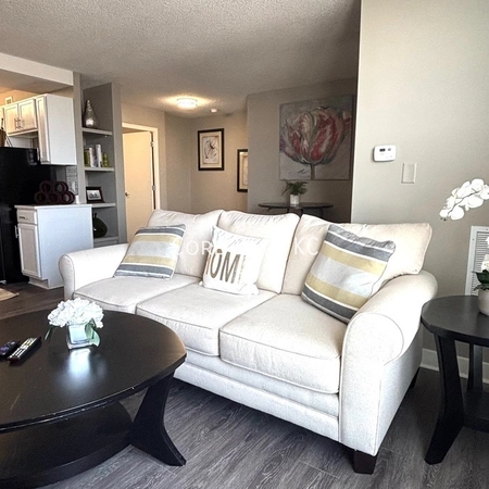 1 bedroom apartment for rent in Downtown Kansas City - KCMO, Kansas City