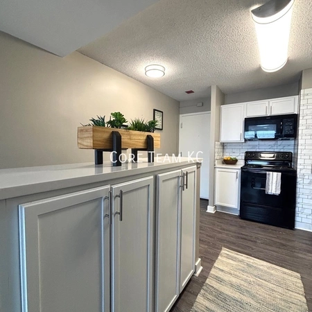 1 bedroom apartment for rent in Downtown Kansas City - KCMO, Kansas City