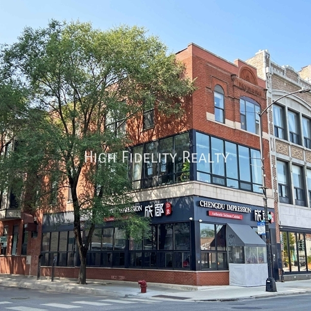 3 bedrooms apartment for rent in Wicker Park - Central, Chicago