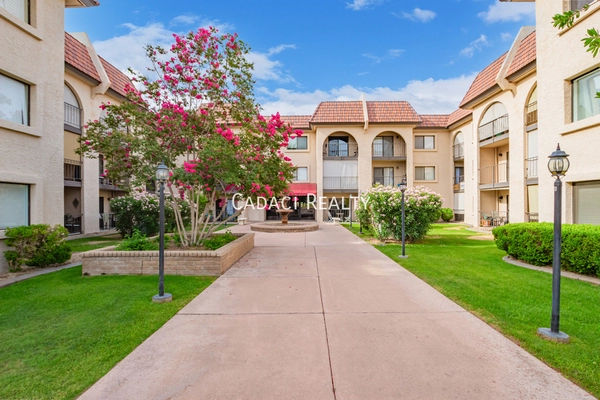 1 bedroom apartment for rent in Camelback East - Phoenix, Phoenix