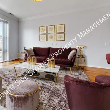 2 bedrooms apartment for rent in Bronzeville - Central, Chicago
