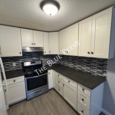1 bedroom apartment for rent in Athmar Park - West Denver, Denver