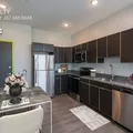 1 bedroom apartment for rent in Haverford North - West Philadelphia, Philadelphia