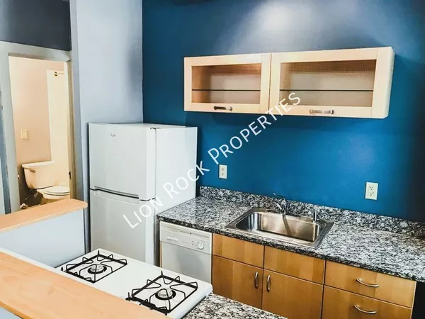 1 bedroom apartment for rent in Elliot Park - Central Minneapolis, Minneapolis