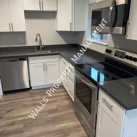 1 bedroom apartment for rent in Fremont - North Seattle, Seattle