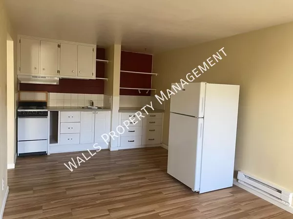 1 bedroom apartment for rent in Ballard - North Seattle, Seattle