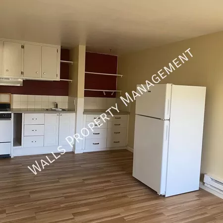 1 bedroom apartment for rent in Ballard - North Seattle, Seattle