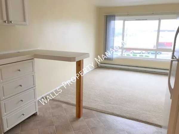 1 bedroom apartment for rent in Ballard - North Seattle, Seattle