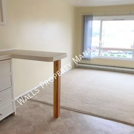 1 bedroom apartment for rent in Ballard - North Seattle, Seattle