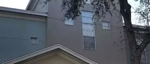 1 bedroom apartment for rent in Carrollwood - North Tampa, Tampa