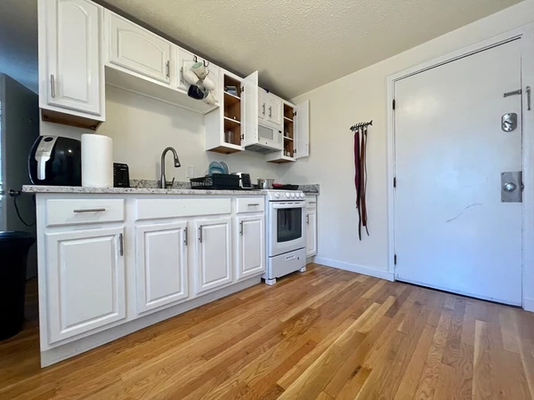 1 bedroom apartment for rent in South Boston - Boston, Boston