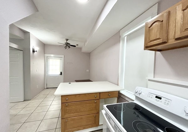 1 bedroom apartment for rent in Mission Hill - Boston, Boston