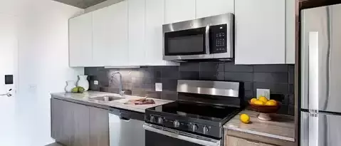 1 bedroom apartment for rent in South Loop - Central, Chicago