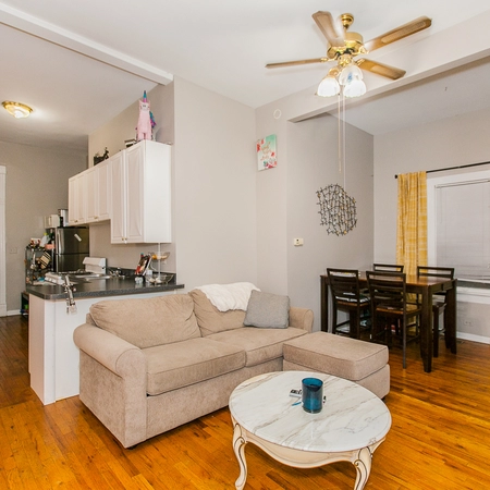1 bedroom apartment for rent in River West - Central, Chicago