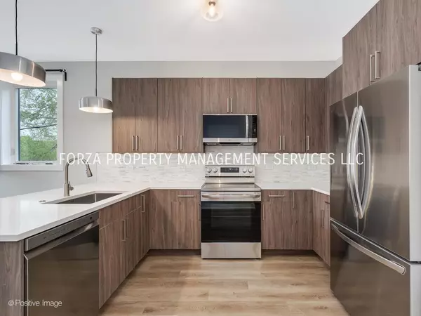 3 bedrooms apartment for rent in Bronzeville - Central, Chicago