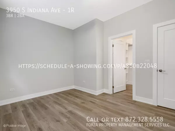 3 bedrooms apartment for rent in Bronzeville - Central, Chicago