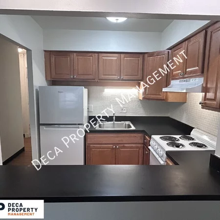 Studio Apartment for rent in Central West End - Central STL, Saint Louis