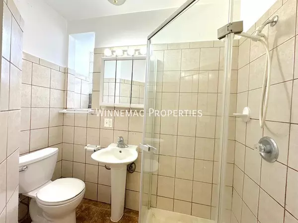 1 bedroom apartment for rent in Lower West Side - West Side, Chicago