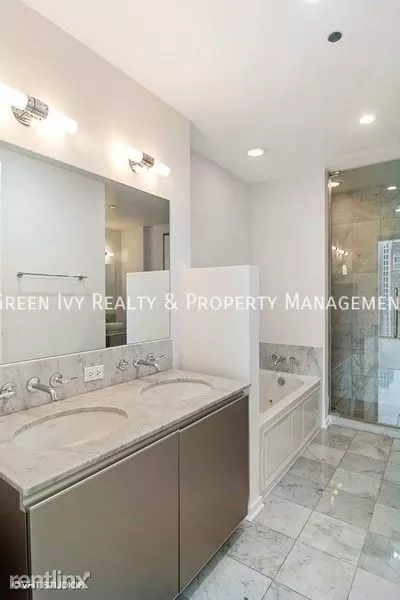 1 bedroom apartment for rent in Streeterville - Central, Chicago