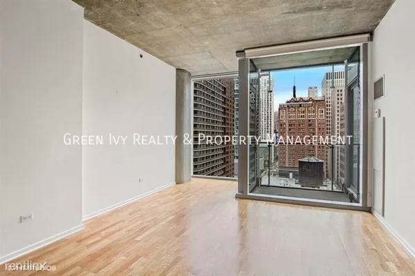 1 bedroom apartment for rent in Streeterville - Central, Chicago