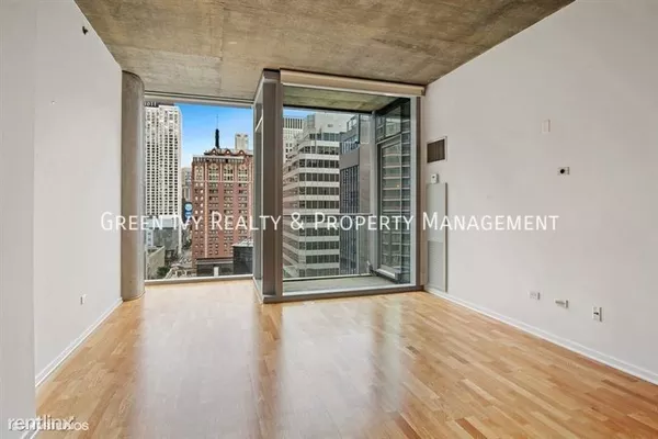 1 bedroom apartment for rent in Streeterville - Central, Chicago