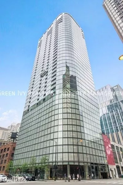 1 bedroom apartment for rent in Streeterville - Central, Chicago