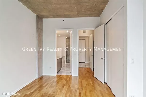 1 bedroom apartment for rent in Streeterville - Central, Chicago