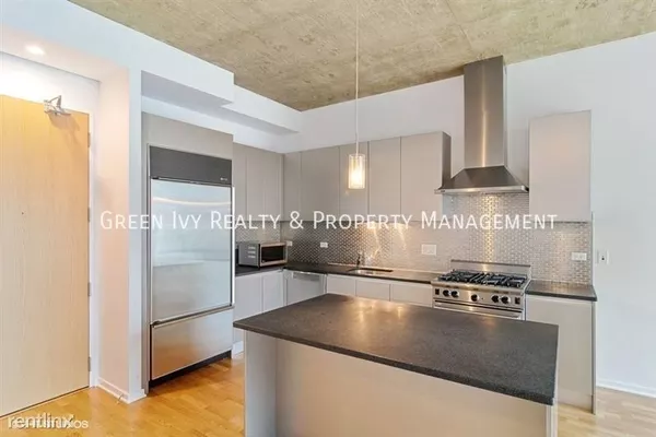 1 bedroom apartment for rent in Streeterville - Central, Chicago