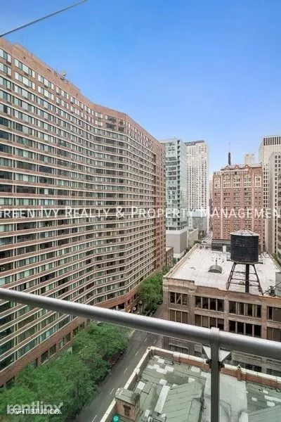 1 bedroom apartment for rent in Streeterville - Central, Chicago