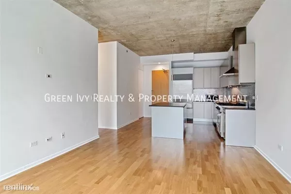 1 bedroom apartment for rent in Streeterville - Central, Chicago