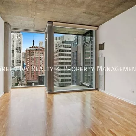 1 bedroom apartment for rent in Streeterville - Central, Chicago