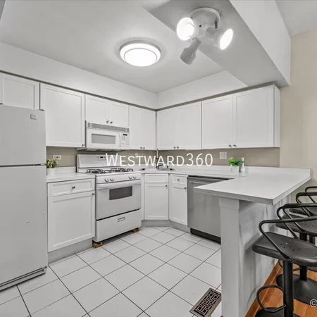 1 bedroom apartment for rent in Lincoln Park - North Side, Chicago