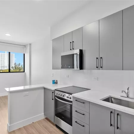 1 bedroom apartment for rent in Allapattah - Miami, Miami