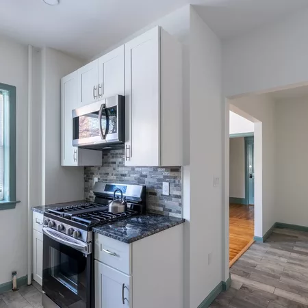1 bedroom apartment for rent in Brighton - Boston, Boston