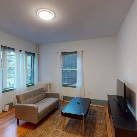 1 bedroom apartment for rent in Brighton - Boston, Boston