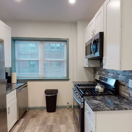 1 bedroom apartment for rent in Brighton - Boston, Boston