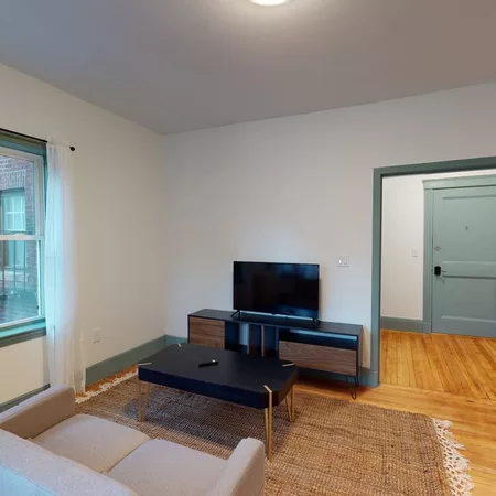 1 bedroom apartment for rent in Brighton - Boston, Boston