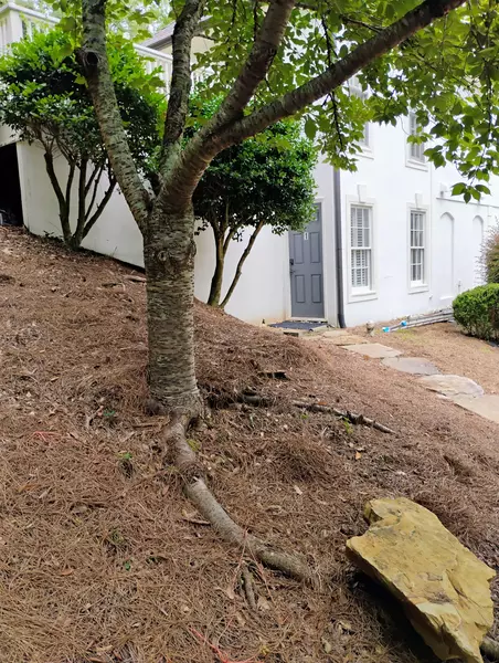 Coliving in Cumberland GA - North Atl, Atlanta