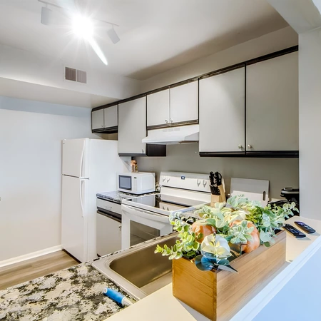 Coliving in Midtown Baltimore - Baltimore Metro Area, Washington DC