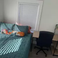 Coliving in Kenwood - Clearwater-St. Petersburg, Tampa