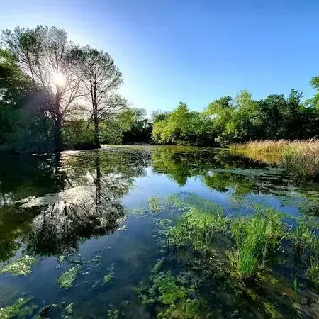 Coliving in Southeast Austin - South Austin, Austin