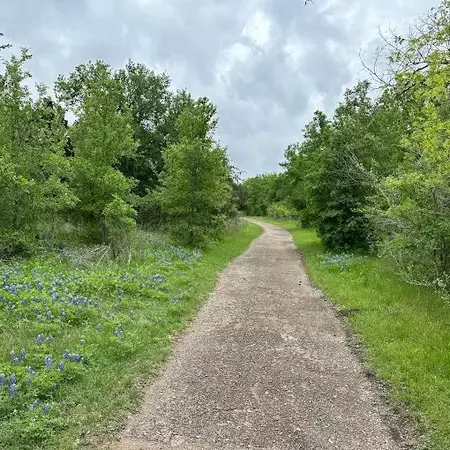 Coliving in Southeast Austin - South Austin, Austin