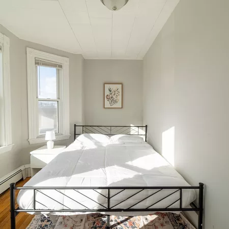 Coliving in Avon Hill - Cambridge, Boston